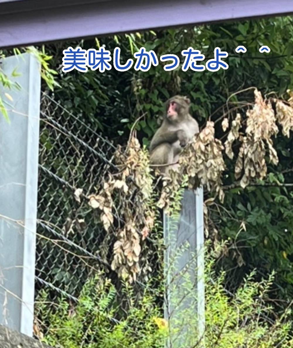犯人!?